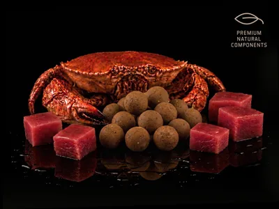 Produktbild von DELPHIN Boilies Delphin BreaX / MonstaFISH Monsterkrabbe-Thunfisch/16mm/300g