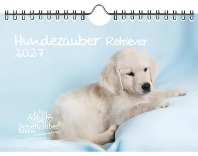 Produktbild von Hundezauber Retriever DIN A5 Kalender für 2027 Welpen und Hunde - Seelenzauber