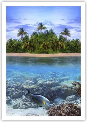 Produktbild von Poster - Poster ohne Rahmen - Strand lagune wasser ozean - 70x100 cm - Wand Bild - Wanddeko - Wandbilder - Kunstposter - Wandposter - Bilder - Kunstdruck - Wanddekoration - Wandbild - P2XPA70x100-2686