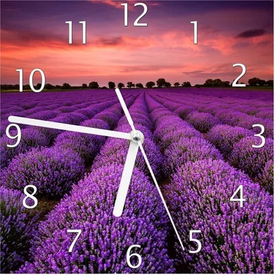 Produktbild von Wallario Design Wanduhr Lavendelfeld unter rotem Himmel aus Echtglas, Größe 20 x 20 cm