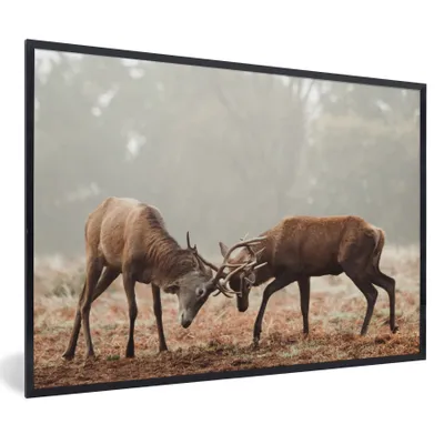Obrázok produktu pre MuchoWow® Zarámovaný plagát Jeleň - Les - Tráva 60x40 Nástenný plagátový rám Fotky