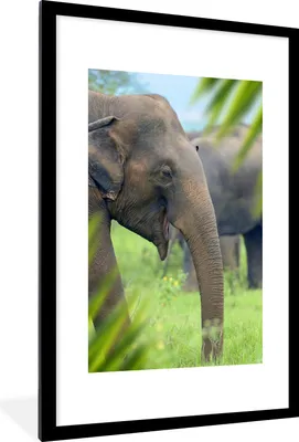 Produktbild von MuchoWow® MuchoWow® Gerahmtes Poster Elefant - Palme - Tiere 60x90 cm - Poster mit zchwarzem Bilderrahmen - Dekoration - Wandposter Wohnzimmer - Hochwertig