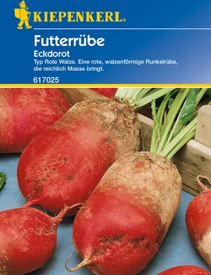 Artikelbild 1 von '[STREICHUNG 2025] Futterrüben Eckdorot (15 g)'