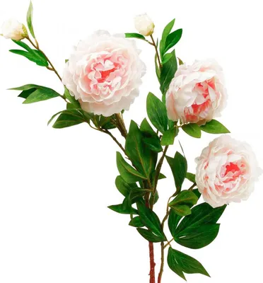Produktbild von Seidenblume Pfingstrose Künstlich Hellrosa Weiß 135cm Deko Kunstblume Hochzeit Frühling