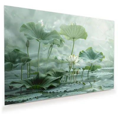 Produktbild von Glasbild 45x30cm in XXL für Wohnzimmer, Schlafzimmer Motiv Lotusteich