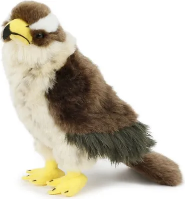 Produktbild von Plüschtier Habicht, 24 cm,  Stofftiere Kuscheltiere Vogel Vögel Greifvögel Tiere