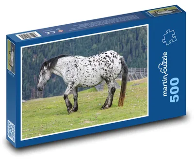 Obrázok produktu pre martinpuzzle - Puzzle 500 - Kôn