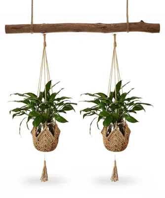Image de Lot de 2 pots suspendus en macramé pour plantes d'intérieur
