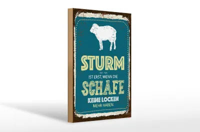 Produktbild von Holzschild Spruch Sturm wenn Schafe keine Locken 20x30cm