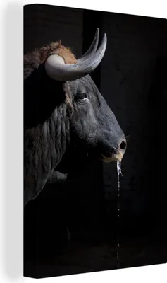 Produktbild von OneMillionCanvasses® - Leinwandbilder - 90x140 cm, Ein schwarzer Stier mit Hörnern auf schwarzem Hintergrund, Wandbilder Kunstdruck Wanddekoration - Wandschmucke - Schlafzimmer