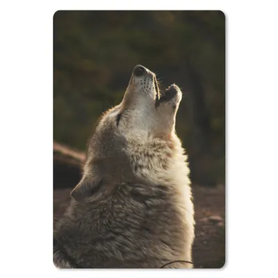 Produktbild von MuchoWow® Mauspad Mousepad Wolf - Grau - Tiere 18x27 cm - Mousepads - Maus Mat - Pad - Mausunterlage