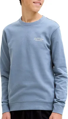 Image de Pull graphique Jack & Jones Archive Junior