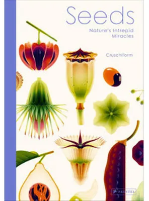 Produktbild von Seeds
