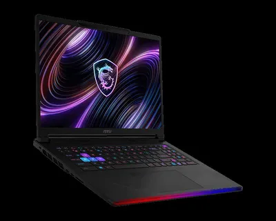 Produktbild von MSI Raider 16 Max HX B2WI-268CZ/Core Ultra 9 290HX Plus/64 GB/2 TB SSD/RTX 5080, 16 GB/16" QHD+, OLED 240 Hz/Win 11 Home/schwarz