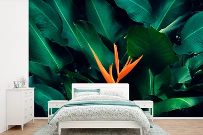 Produktbild von MuchoWow® Fototapete für Wohnzimmer oder Schlafzimmer Wandtapete Vinyl Motivtapete Tropisch - Blumen - Orange - 390x260 cm - Papiertapete