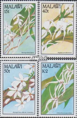 Produktbild von Briefmarken Malawi 1990 Mi 557-560 (kompl.Ausg.) postfrisch Orchideen