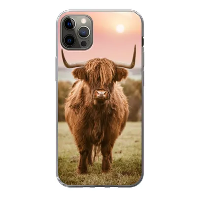 Produktbild von MuchoWow® Handyhülle Schutzhülle Hülle für iPhone 13 Pro Max Schottischer Highlander - Sonne - Himmel Silikon Softcase Handy Hülle - Mobiltelefon