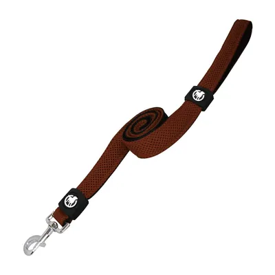 Zdjęcie produktu dla Smycz Treningowa dla Psa 120 cm M Brązowa, Wyściełany Pasek