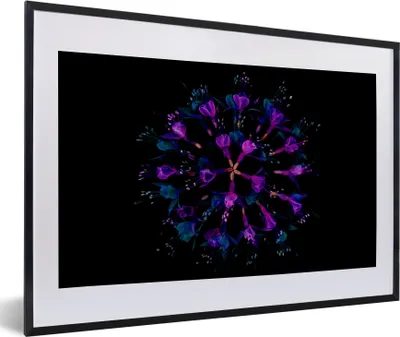 Produktbild von MuchoWow® MuchoWow® Gerahmtes Poster Blume - Lila - Blau - Makro - Schwarz 60x40 cm - Poster mit zchwarzem Bilderrahmen - Schlafzimmer - Plakat in Rahmen - Drucken