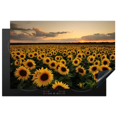 Produktbild von KitchenYeah© Herdabdeckplatte Sonnenblumen bei Sonnenuntergang , 81x52cm, Küche Deko, Glaskeramikkochfeld Herdabdeckung, Abdeckplatte fùr Kochfeld