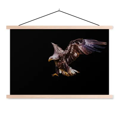 Produktbild von MuchoWow® Textilposter Adler - Vogel - Federn 60x40 cm mit holzfarbenen Rahmen - Bilder
