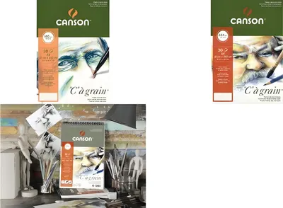 Produktbild von CANSON Zeichenpapierblock C à gra in, DIN A4, 224 g/qm (5297866)