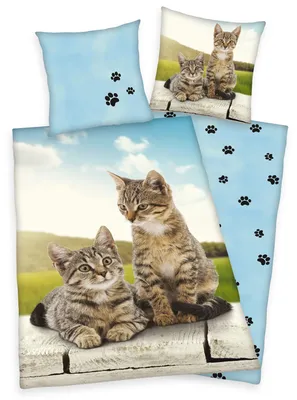 Immagine prodotto di Set di biancheria da letto reversibile Herding per gatti 2 pz.135 x 200cm