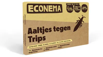 Productafbeelding van Econema Aaltjes tegen trips – tripslarven in kamerplanten bestrijden – 1000 m²