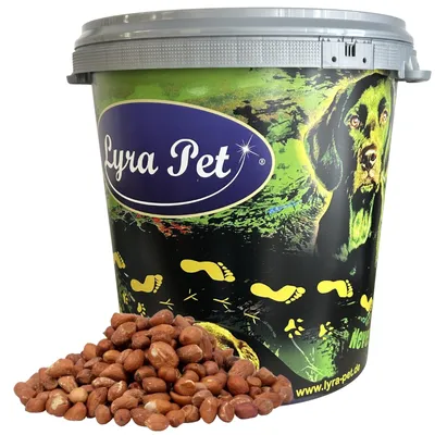 Produktbild von 10 kg Lyra Pet® Erdnusskerne mit Haut Neue Ernte in 30 L Tonne