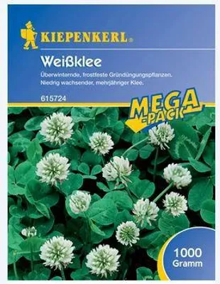 Produktbild von Kiepenkerl Kleesamen Weißklee Trifolium repens für 250 m² 1 kg