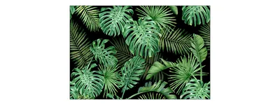 Produktbild von Muralo Fototapete 90 x 60 cm Vlies Tapete Wandtapeten moderne Wandbilder XXL Dschungel Monstera Palmen