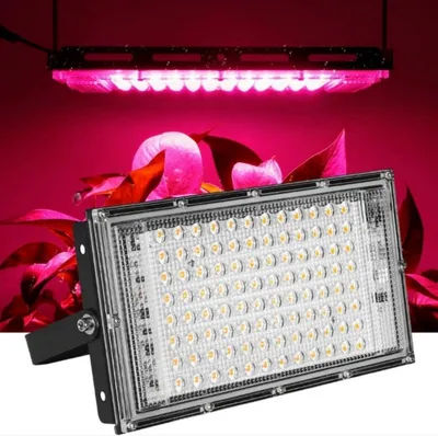 A grow light fixture is shown in the foreground, with a pink grow light bar suspended above it. Plants with pink and red leaves are visible in the background.