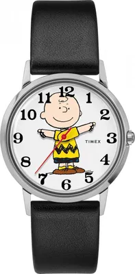 Image de Montre Timex TW2T39600 noire