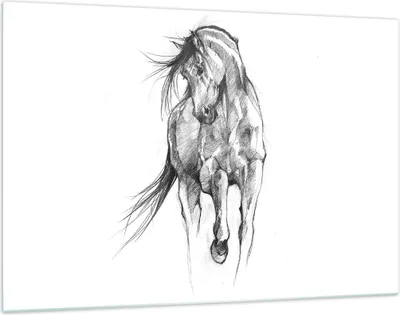 Produktbild von Bilder auf glas - Einteilig - Pferd Galopp Tier - 120x80cm - Glasbilder - Wandbilder - Bilder - zum Aufhängen bereit - Wanddekoration aus Glas - Glas Bilder - Wandbild auf Glas - GAA120x80-5080