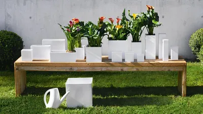Produktbild von ASA Selection quadro Vase weiß 12 × 12 cm – 12er Vorteilset