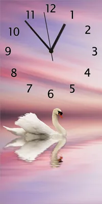 Produktbild von Wallario Design Wanduhr Weißer Schwan im rosafarbenen See aus Echtglas, Größe 30 x 60 cm