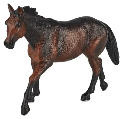 Image de Animal Planet Quarter Horse Sooty bay