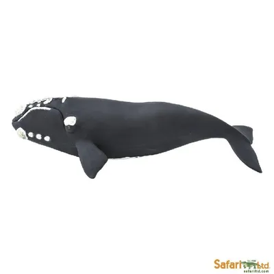 Image de Safari Ltd 204229 Baleine franche 23 cm Série animaux aquatiques