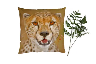 Produktbild von MuchoWow® Zierkissen Sofakissen Wohnzimmer Dekokissen 50x50 cm Leopard - Kopf - Pflanzen - Komfort - Sofakissen