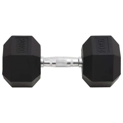 Produktbild von vidaXL Kurzhantel 20 kg Gusseisen