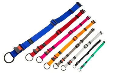 Produktbild von Karlie Art Sportiv Plus Halsband Mix and Match, Farbe:orange, Größe:20 - 35 cm x 10 mm