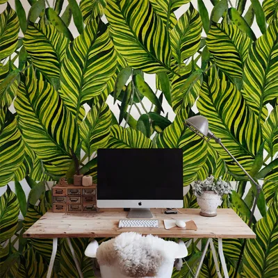 Produktbild von Coloray Fototapete 290x290 cm Latextapete Magicstick - Große Dschungelblätter