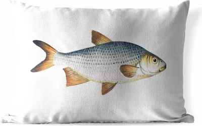 Produktbild von MuchoWow® Outdoor Kissen - Fisch - Karpfen - Silber - 50x30 cm - Wetterfest - Lounge Kissen - Sofa kissen - Wohnzimmer Dekoration