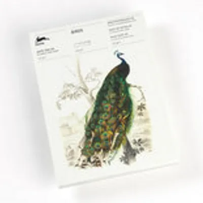 Image de Oiseaux