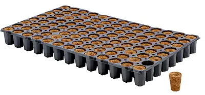 Produktbild von Eazy Plug CT104CF Anzuchtwürfel, Tray mit 104 Stk.