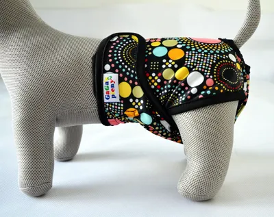 Immagine prodotto di Mutandine di GaGa per cani a pois M