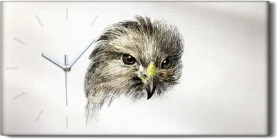 Produktbild von Wanduhr Bürouhr Leinwand Bild 60x30 Gemälde Zeichnung Tier Vogel Kunst - weiße Hände