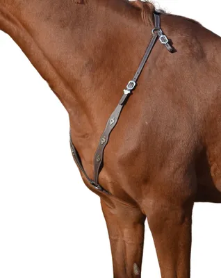 Produktbild von AMKA Vorderzeug portugiesisch, braun mit silberfarbenen Ornamenten und Beschlägen, Größe:Warmblut