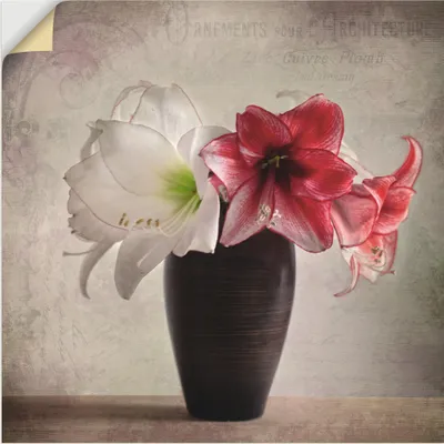 Produktbild von ARTland Wandbild, selbstklebend Amaryllis Vintage I Größe: 30x30 cm