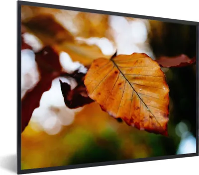 Produktbild von MuchoWow® Gerahmtes Poster Buche - Herbst - Laub 80x60 cm - Poster mit Schwarzem Bilderrahmen Wandposter Rahmen Foto Bilder - Schwarzem - Mit Gestell
